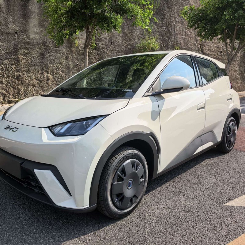 Seagull 2025 305km Vitality Edition