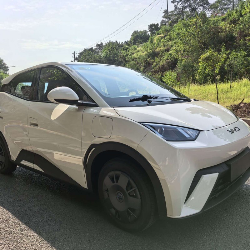 Seagull 2025 305km Vitality Edition Seagull 2025 305km Vitality Edition