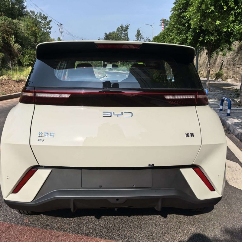 Seagull 2025 305km Vitality Edition Seagull 2025 305km Vitality Edition