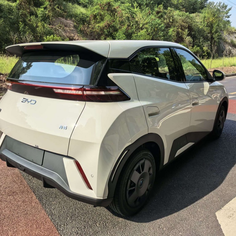 Seagull 2025 305km Vitality Edition Seagull 2025 305km Vitality Edition