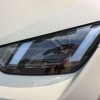 Seagull 2025 305km Vitality Edition