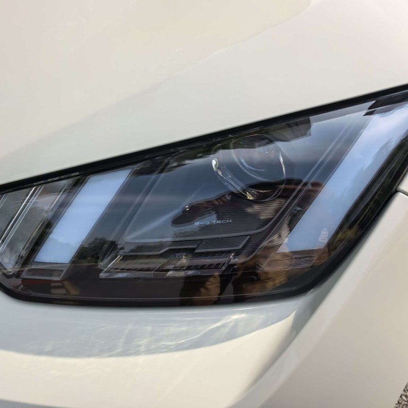 Seagull 2025 305km Vitality Edition Seagull 2025 305km Vitality Edition