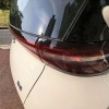 Seagull 2025 305km Vitality Edition