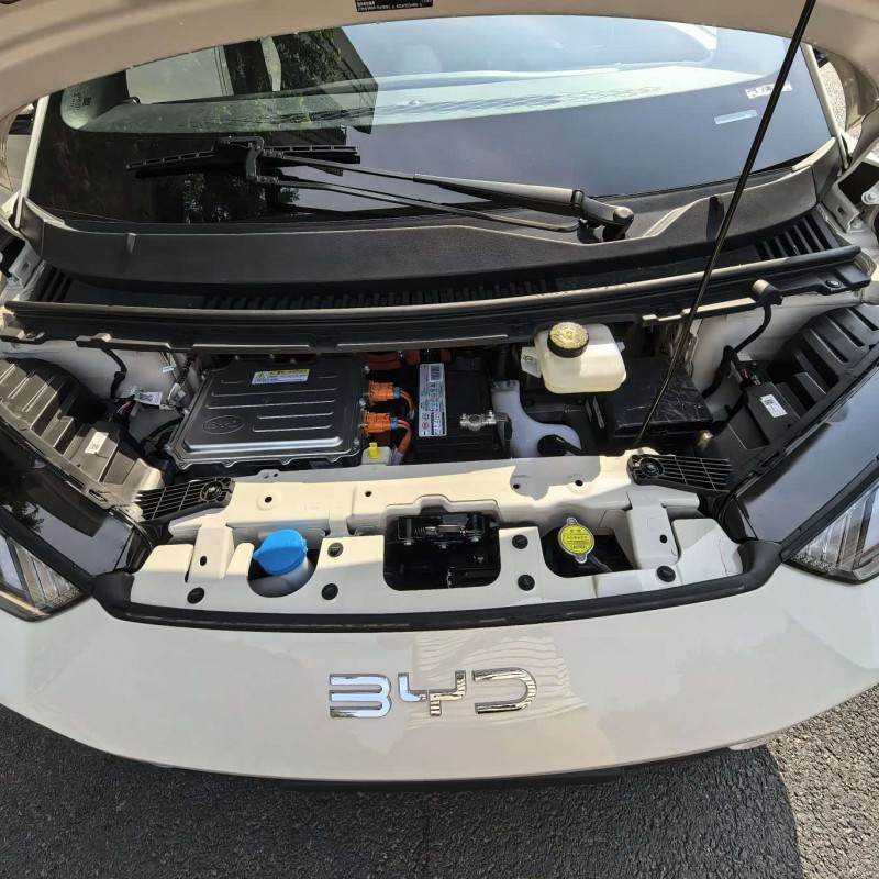 Seagull 2025 305km Vitality Edition Seagull 2025 305km Vitality Edition