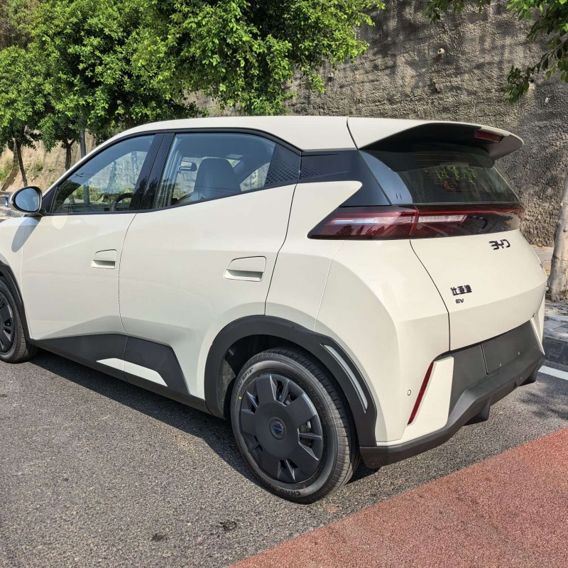 Seagull 2025 305km Vitality Edition Seagull 2025 305km Vitality Edition