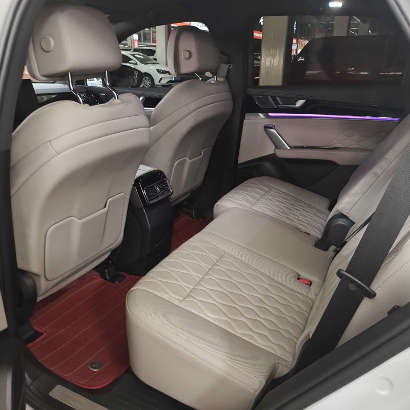 Tang New Energy 2025 DM-i 115KM Flagship Model Tang New Energy 2025 DM-i 115KM Flagship Model