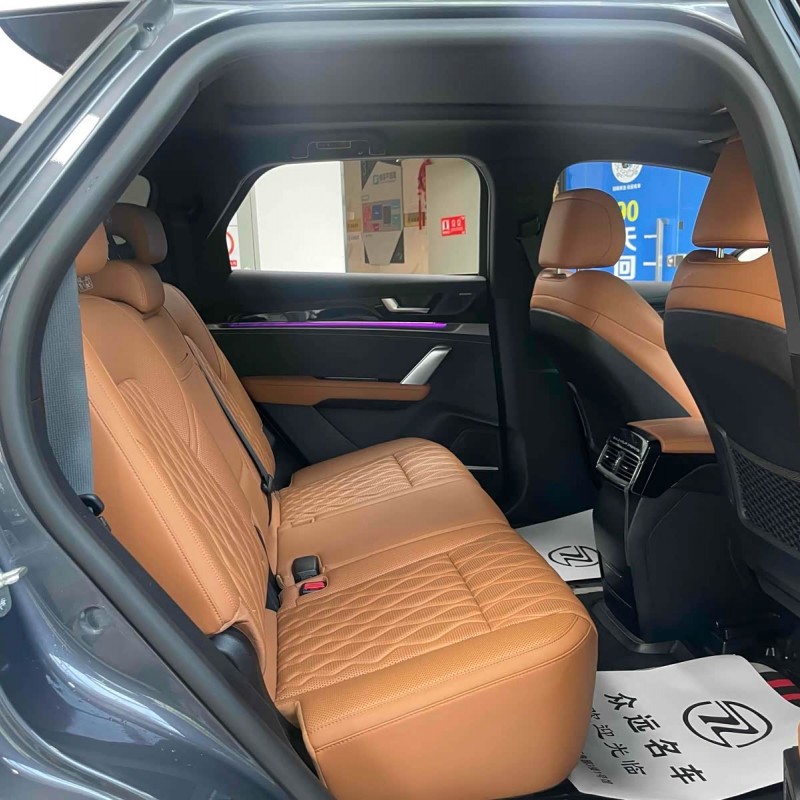 Tang New Energy 2023 DM-i Champion Edition 112KM Premium Edition Tang New Energy 2023 DM-i Champion Edition 112KM Premium Edition