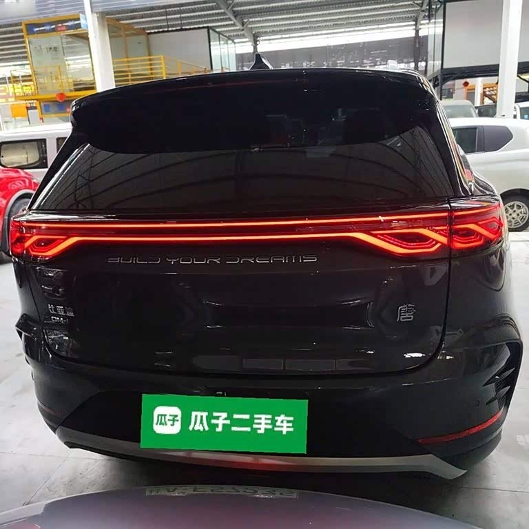 Tang New Energy 2024 DM-i Honor Edition 112KM Flagship Model Tang New Energy 2024 DM-i Honor Edition 112KM Flagship Model