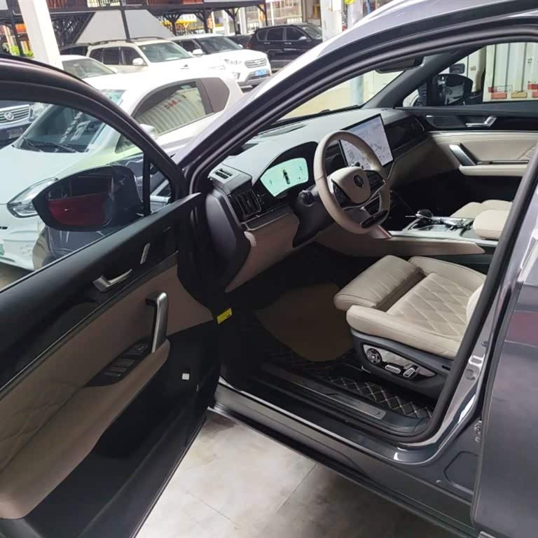 Tang New Energy 2024 DM-i Honor Edition 112KM Flagship Model Tang New Energy 2024 DM-i Honor Edition 112KM Flagship Model
