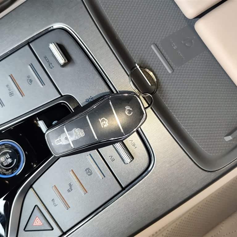 Tang New Energy 2024 DM-i Honor Edition 112KM Flagship Model Tang New Energy 2024 DM-i Honor Edition 112KM Flagship Model