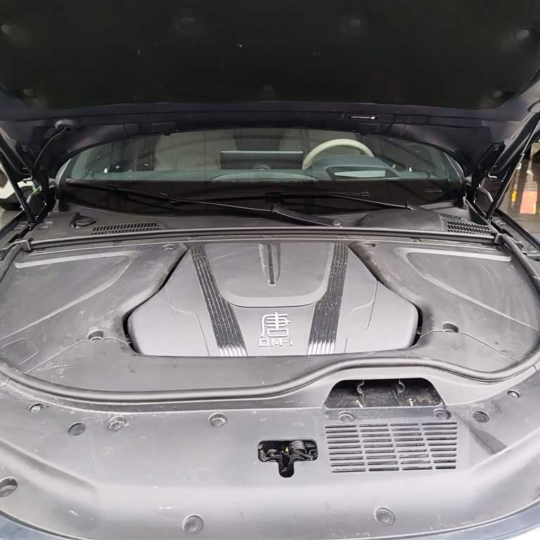 Tang New Energy 2024 DM-i Honor Edition 112KM Flagship Model Tang New Energy 2024 DM-i Honor Edition 112KM Flagship Model