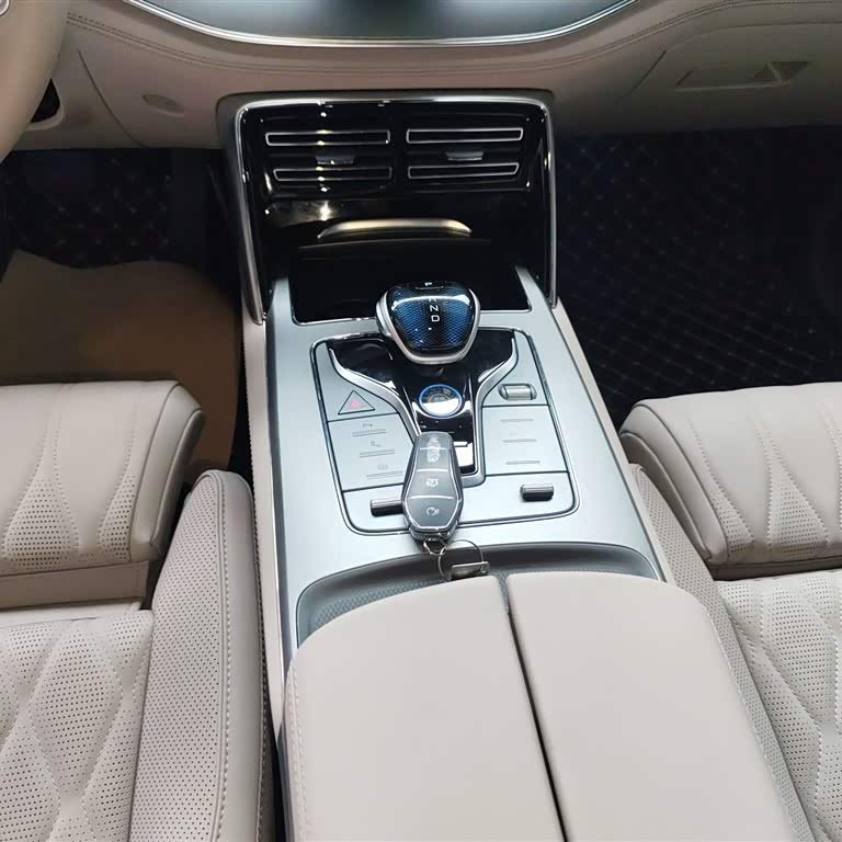 Tang New Energy 2024 DM-i Honor Edition 112KM Flagship Model Tang New Energy 2024 DM-i Honor Edition 112KM Flagship Model