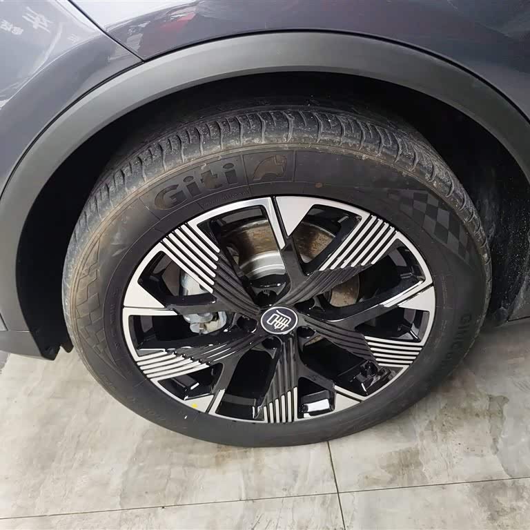 Tang New Energy 2024 DM-i Honor Edition 112KM Flagship Model Tang New Energy 2024 DM-i Honor Edition 112KM Flagship Model