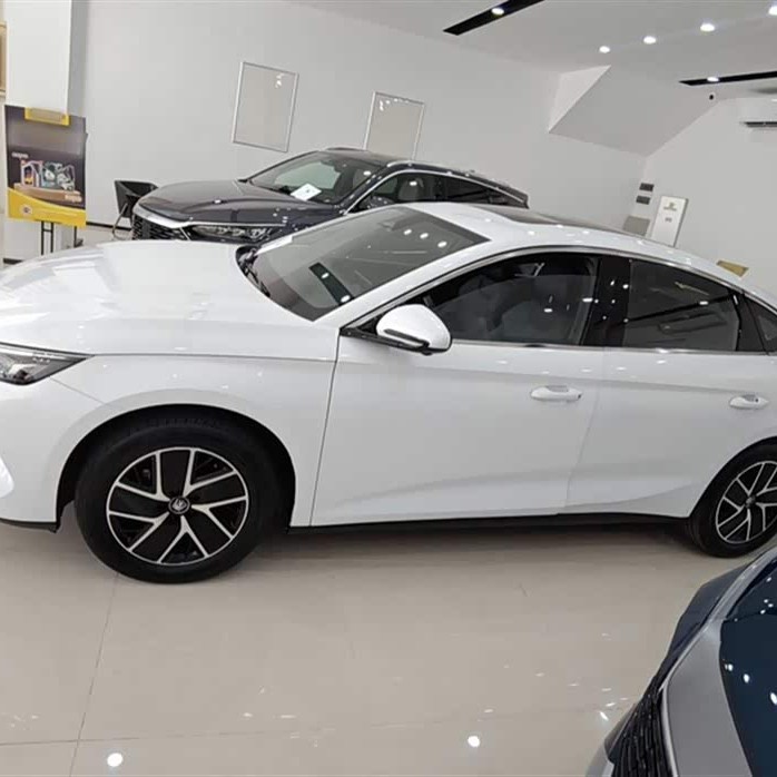 Qin L 2024 DM-i 120KM Beyond Edition Qin L 2024 DM-i 120KM Beyond Edition
