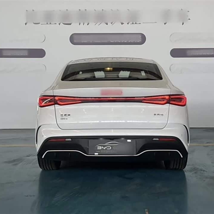 Haibao 06 New Energy 2024 DM-i 120KM Flagship Model Haibao 06 New Energy 2024 DM-i 120KM Flagship Model