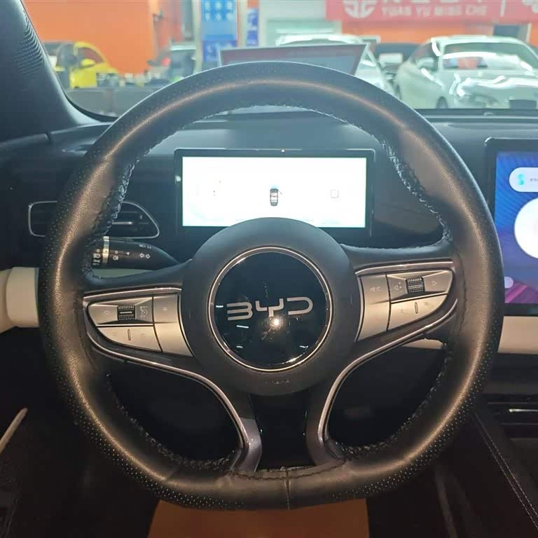 Haibao 06 New Energy 2024 DM-i 80KM Premium Edition Haibao 06 New Energy 2024 DM-i 80KM Premium Edition
