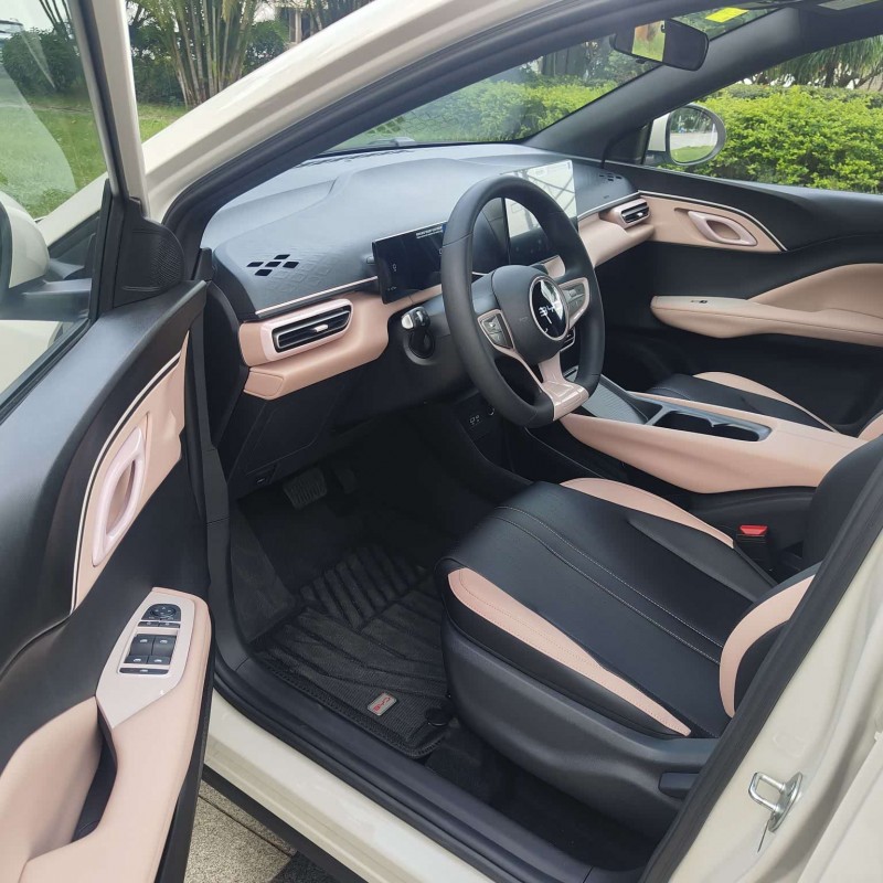 Seagull 2025 Smart Driving Edition 305km Vitality Edition Seagull 2025 Smart Driving Edition 305km Vitality Edition