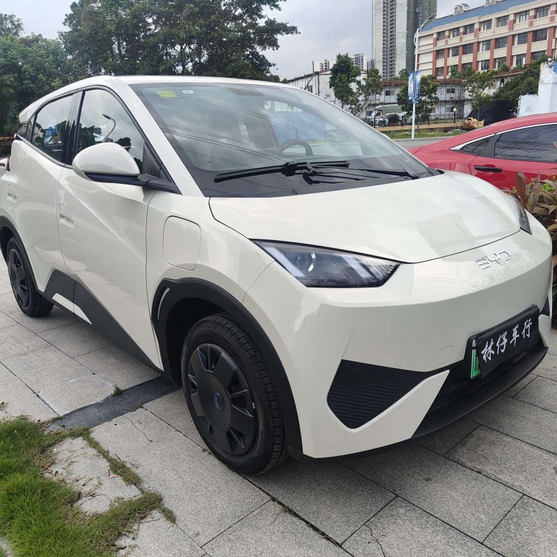 Seagull 2025 Smart Driving Edition 305km Vitality Edition Seagull 2025 Smart Driving Edition 305km Vitality Edition