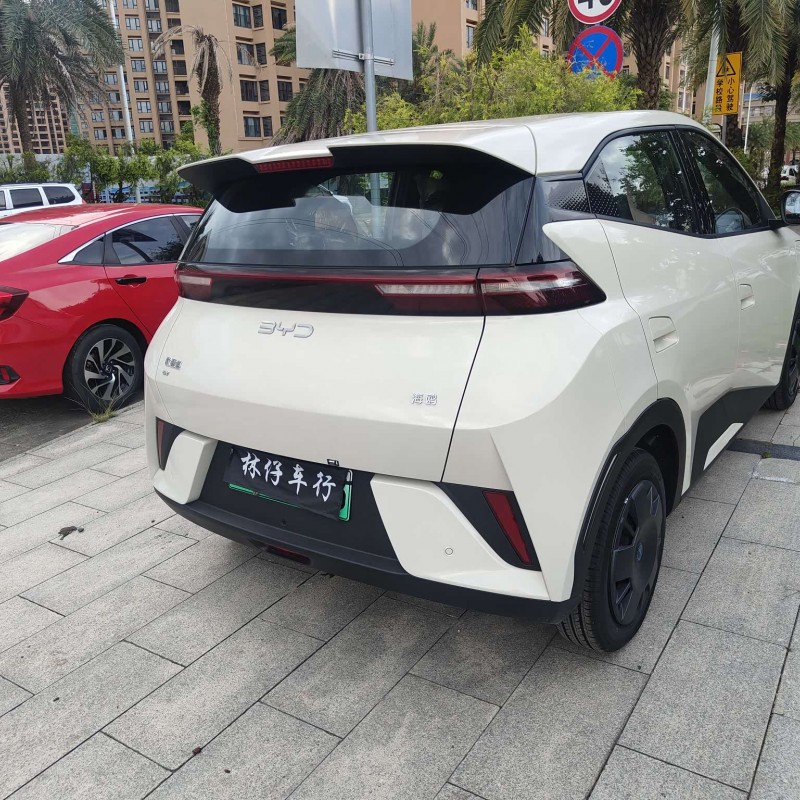 Seagull 2025 Smart Driving Edition 305km Vitality Edition Seagull 2025 Smart Driving Edition 305km Vitality Edition