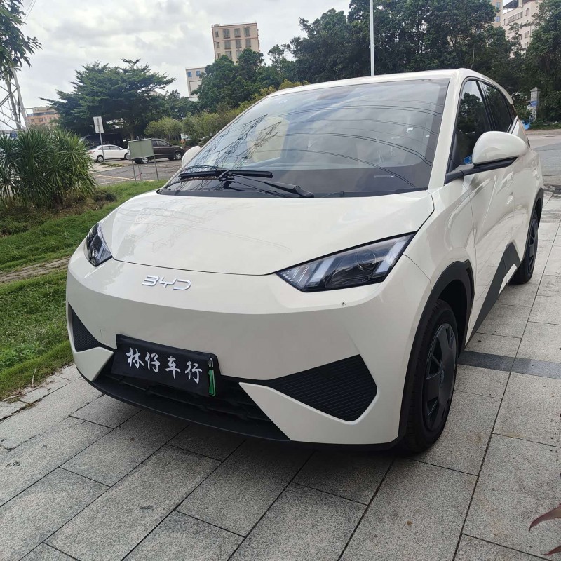 Seagull 2025 Smart Driving Edition 305km Vitality Edition