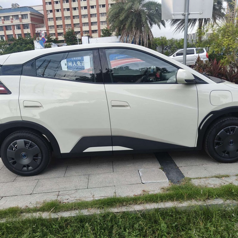 Seagull 2025 Smart Driving Edition 305km Vitality Edition Seagull 2025 Smart Driving Edition 305km Vitality Edition