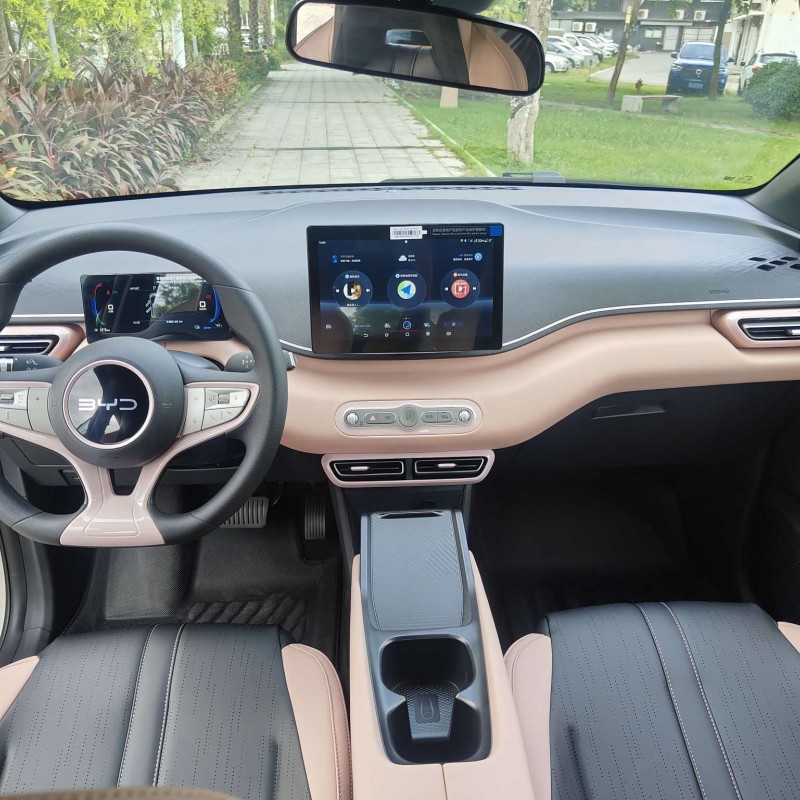 Seagull 2025 Smart Driving Edition 305km Vitality Edition Seagull 2025 Smart Driving Edition 305km Vitality Edition