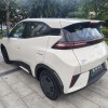 Seagull 2025 Smart Driving Edition 305km Vitality Edition