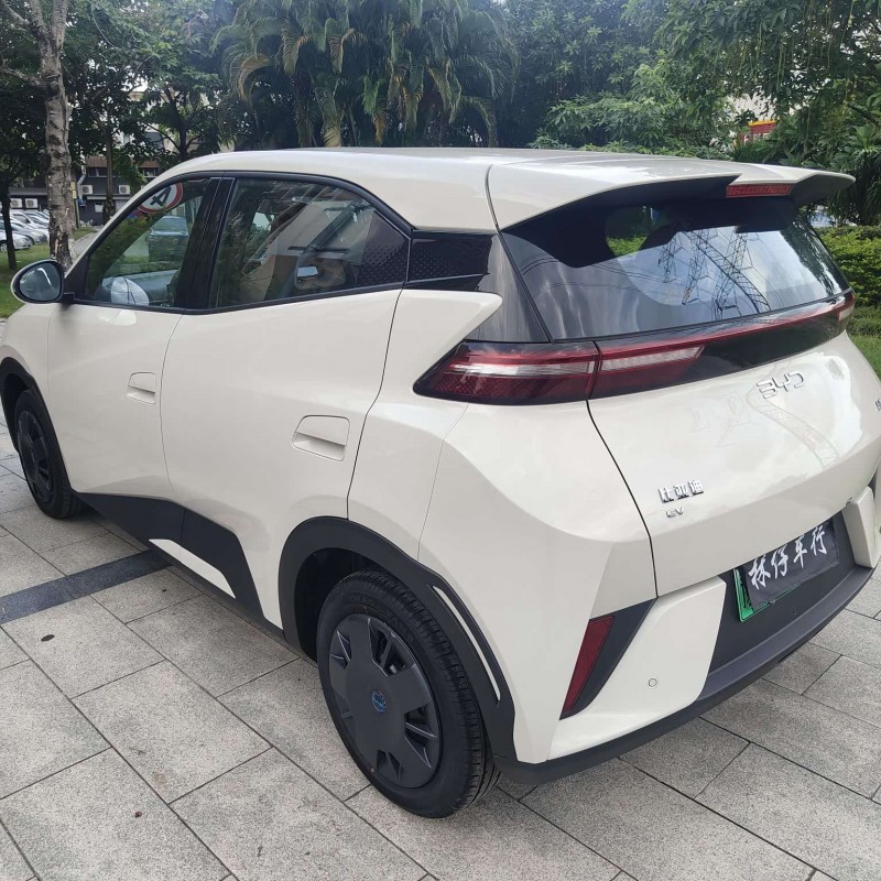 Seagull 2025 Smart Driving Edition 305km Vitality Edition Seagull 2025 Smart Driving Edition 305km Vitality Edition