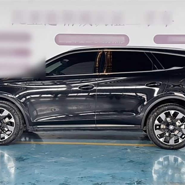 Tang New Energy 2024 DM-i Honor Edition 112KM Flagship Model Tang New Energy 2024 DM-i Honor Edition 112KM Flagship Model