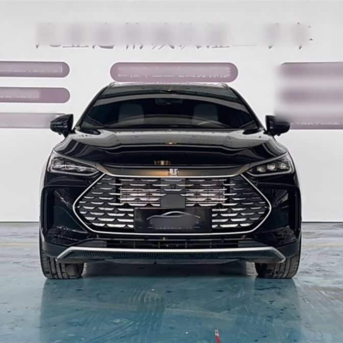 Tang New Energy 2024 DM-i Honor Edition 112KM Flagship Model Tang New Energy 2024 DM-i Honor Edition 112KM Flagship Model