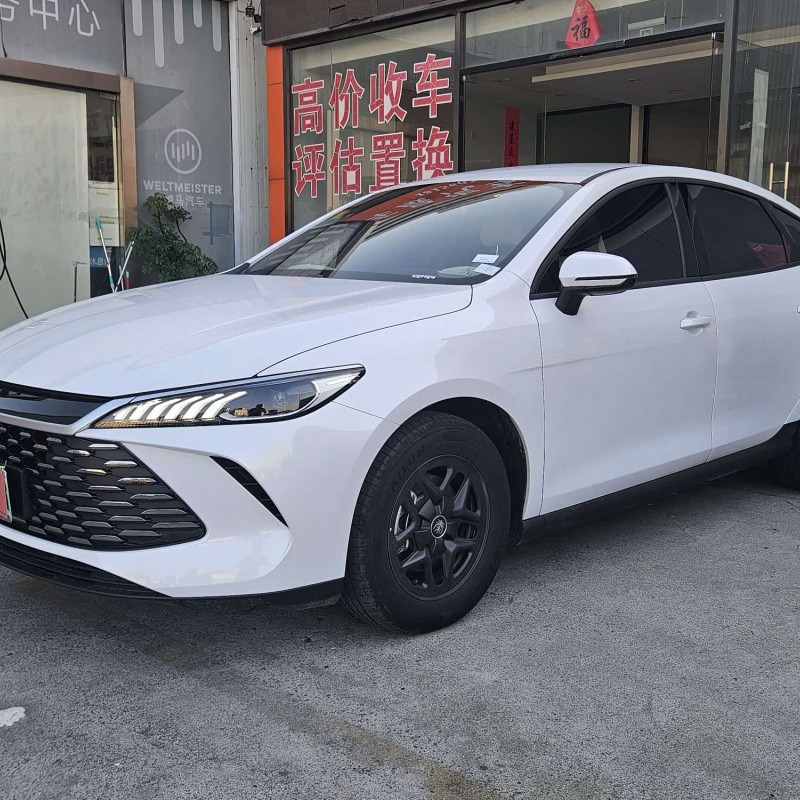 Qin PLUS 2025 DM-i Intelligent Driving Edition 55KM Leading Edition