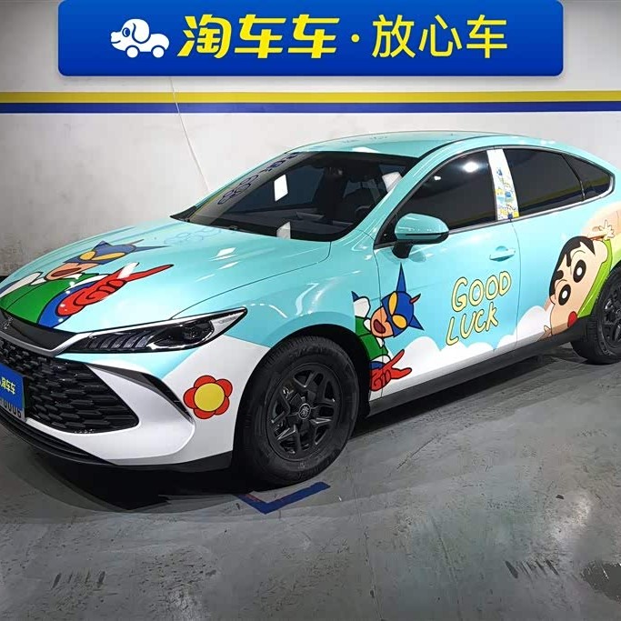 Qin PLUS 2025 DM-i Intelligent Driving Edition 55KM Leading Edition