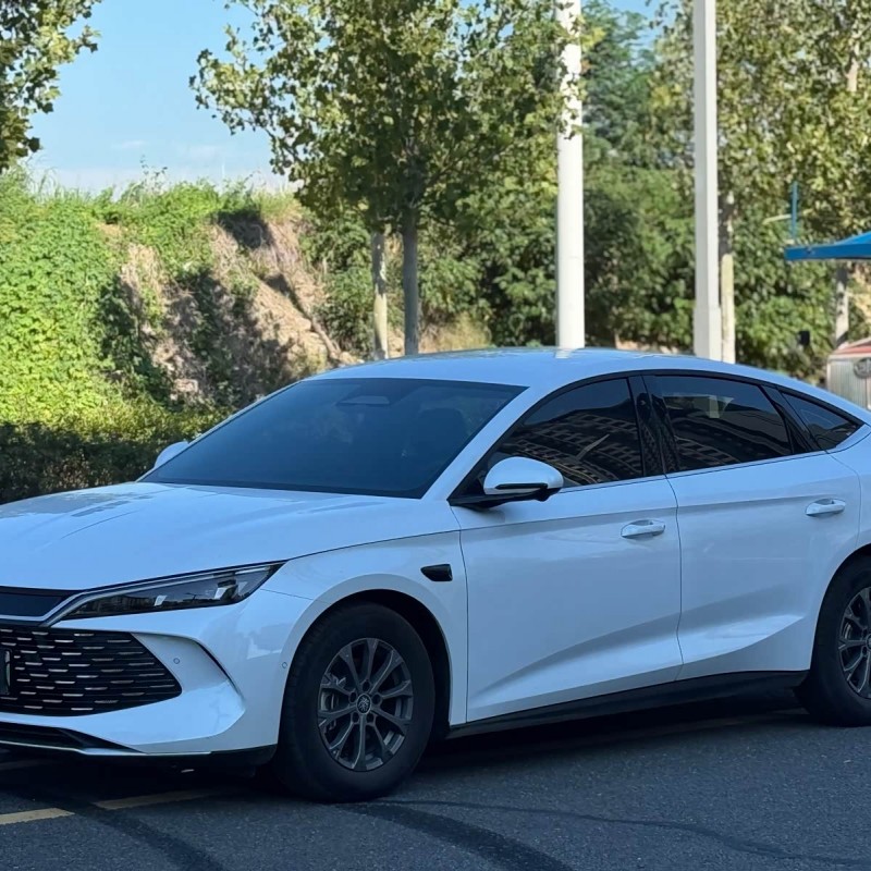 Qin L 2024 DM-i 80KM Leading Edition