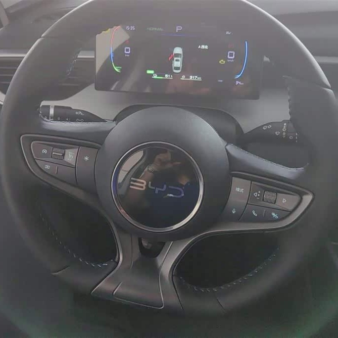 Qin PLUS 2025 DM-i Intelligent Driving Edition 55KM Leading Edition Qin PLUS 2025 DM-i Intelligent Driving Edition 55KM Leading Edition