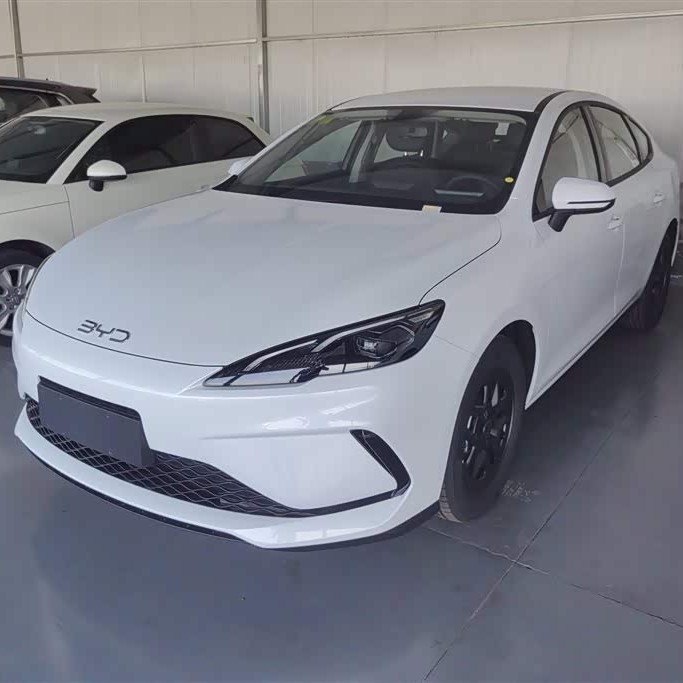 Qin PLUS 2025 DM-i Intelligent Driving Edition 55KM Leading Edition