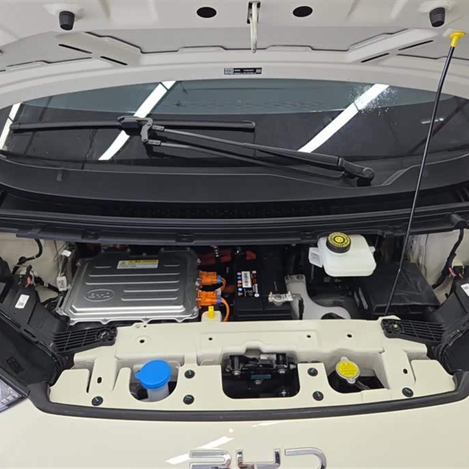 Seagull 2025 305km Vitality Edition Seagull 2025 305km Vitality Edition
