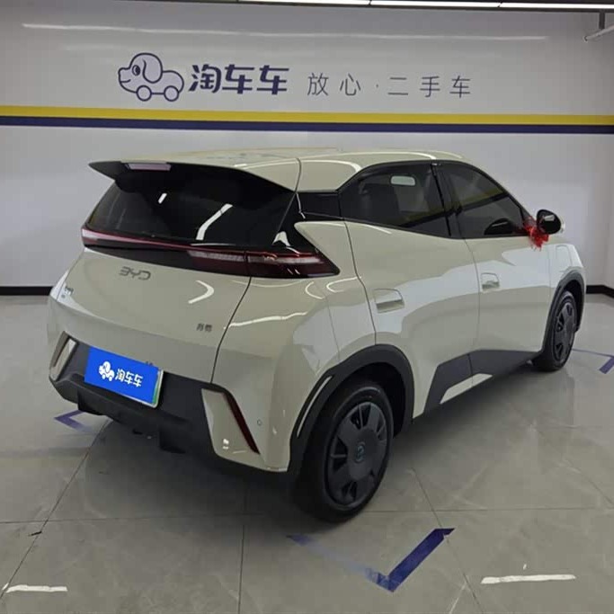 Seagull 2025 305km Vitality Edition Seagull 2025 305km Vitality Edition