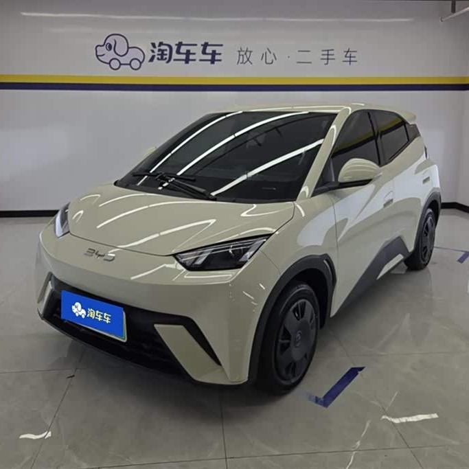 Seagull 2025 305km Vitality Edition