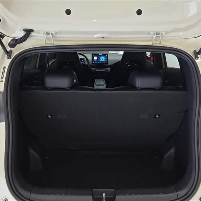 Seagull 2025 305km Vitality Edition Seagull 2025 305km Vitality Edition