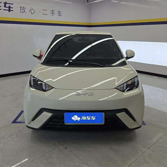 Seagull 2025 305km Vitality Edition Seagull 2025 305km Vitality Edition