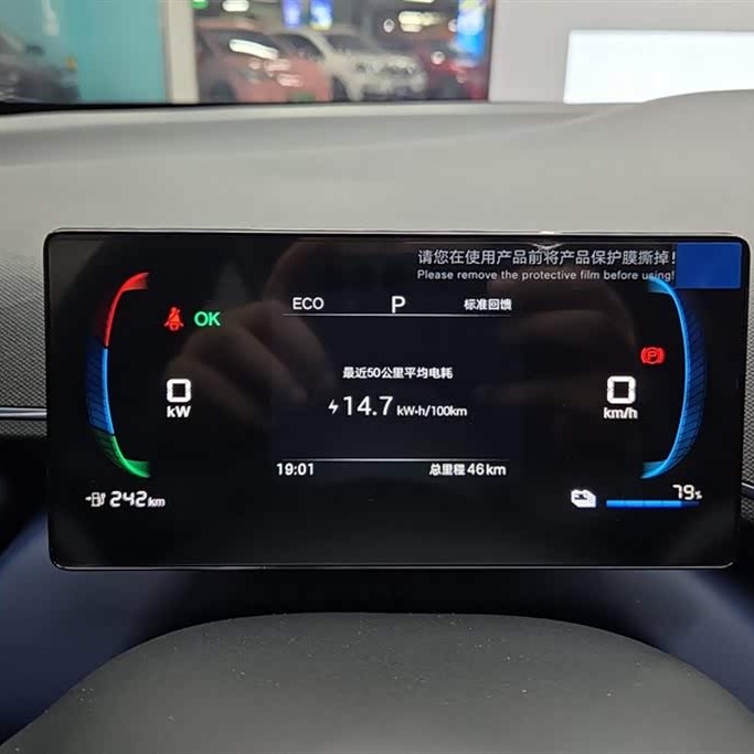 Seagull 2025 305km Vitality Edition Seagull 2025 305km Vitality Edition