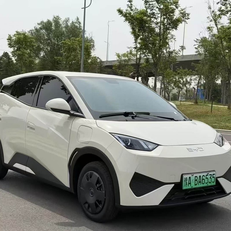 Seagull 2025 305km Vitality Edition