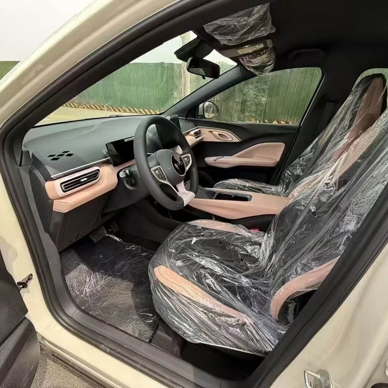Seagull 2025 305km Vitality Edition Seagull 2025 305km Vitality Edition