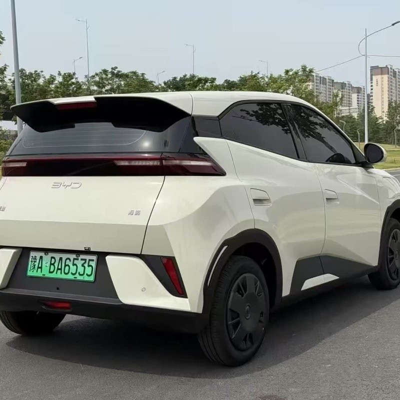 Seagull 2025 305km Vitality Edition Seagull 2025 305km Vitality Edition