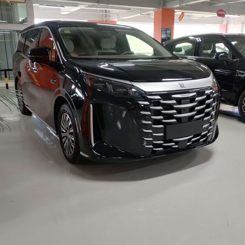 2025 DM-i 1.5T 100km Leading Edition 2025 DM-i 1.5T 100km Leading Edition