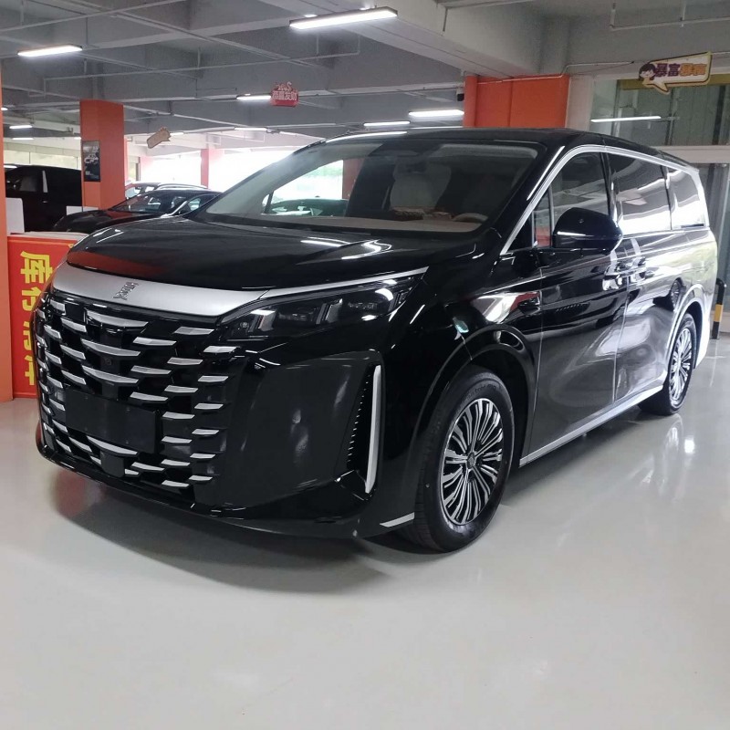 2025 DM-i 1.5T 100km Leading Edition 2025 DM-i 1.5T 100km Leading Edition