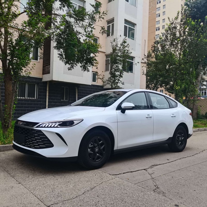 Qin PLUS 2025 DM-i Intelligent Driving Edition 55KM Leading Edition