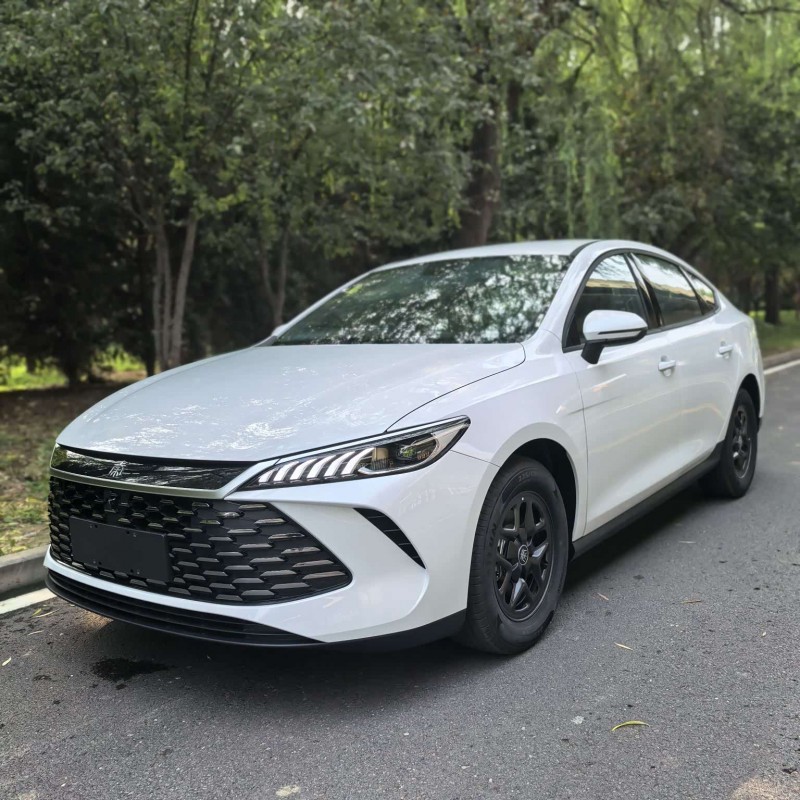 Qin PLUS 2025 DM-i Intelligent Driving Edition 55KM Leading Edition