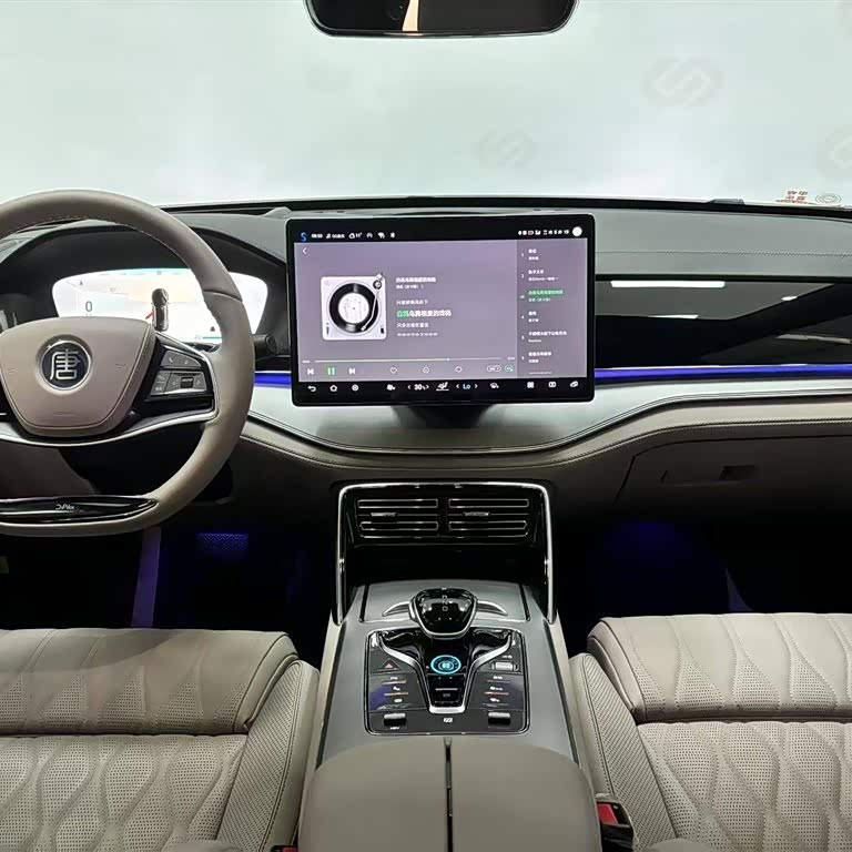 Tang New Energy 2024 DM-i Honor Edition 112KM Flagship Model Tang New Energy 2024 DM-i Honor Edition 112KM Flagship Model