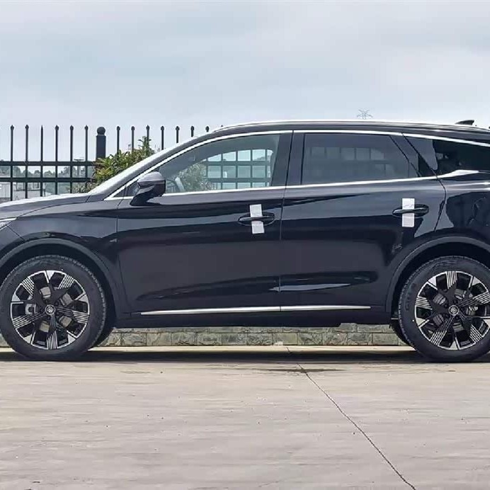 Tang New Energy 2024 DM-i Honor Edition 112KM Flagship Model Tang New Energy 2024 DM-i Honor Edition 112KM Flagship Model